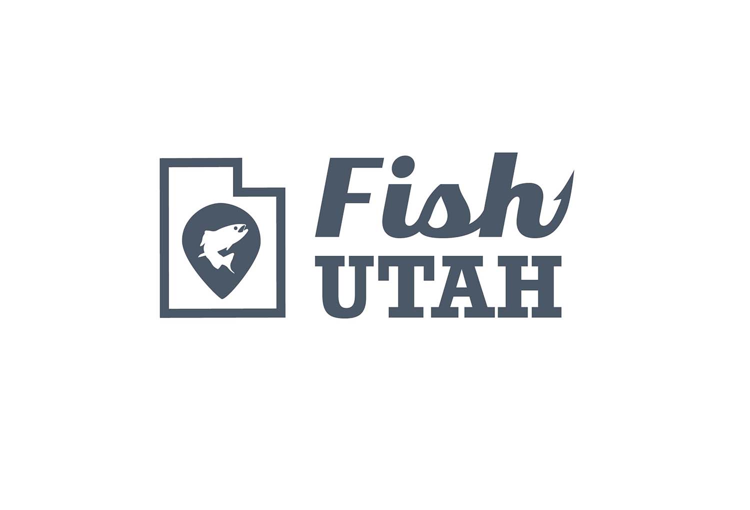 <span>Web Branding</span>Fish Utah